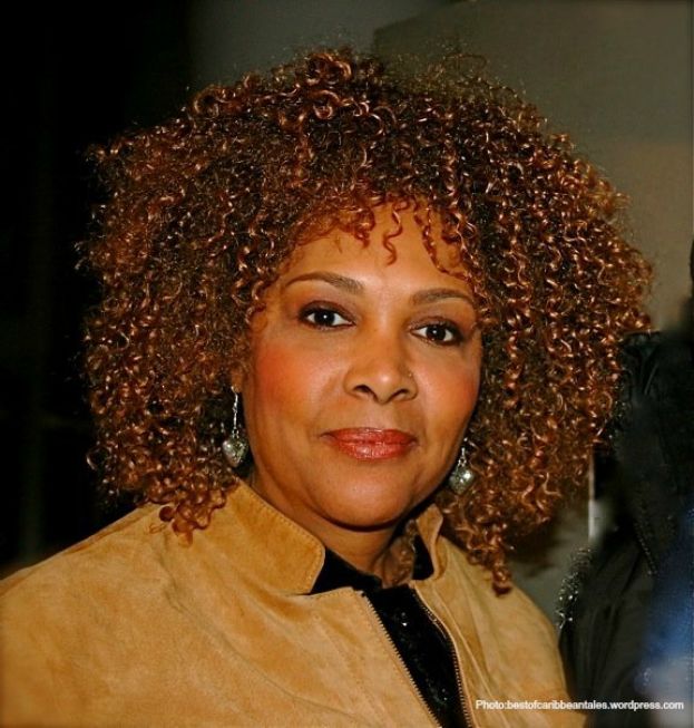 Award-winning screenwriter/director, Julie Dash