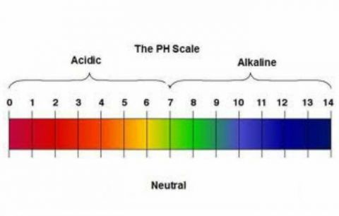 pH Scale